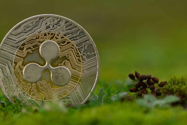 Here’s a concise and engaging title under 35 characters:
Ripple Launches $25M RLUSD Education Fund
This keeps it short, impactful, and within the character limit while highlighting the key details. Let me know if you’d like any refinements!