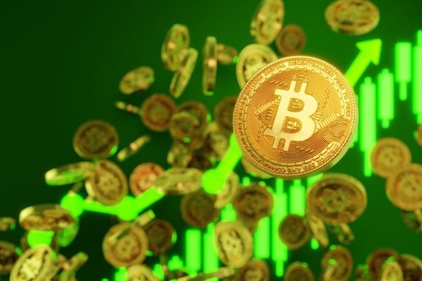 Bitcoin ETFs Rebound as Ether ETFs Struggle