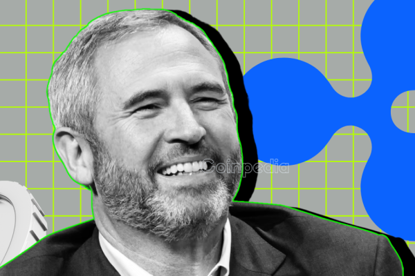 Ripple CEO Denies Linqto Ties