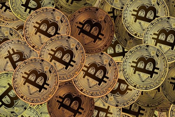 Bitcoin Holdings Surge to 15,555 BTC